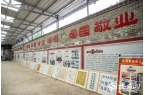 家训密码”：好家风如何绘就乡村振兴新图景